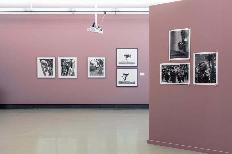 WITCHES! About bodies, knowledge and power, 2023