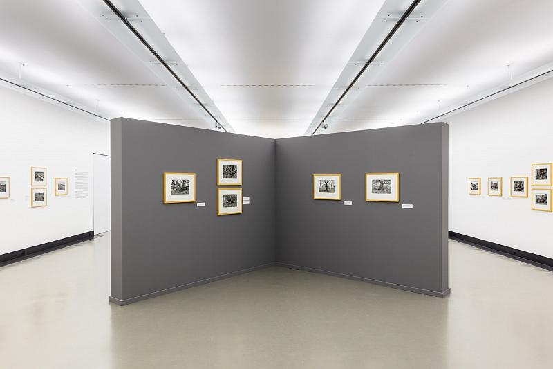 Valentin Schwab - a retrospective, 2023