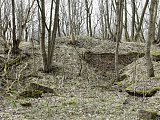 Buchenwald