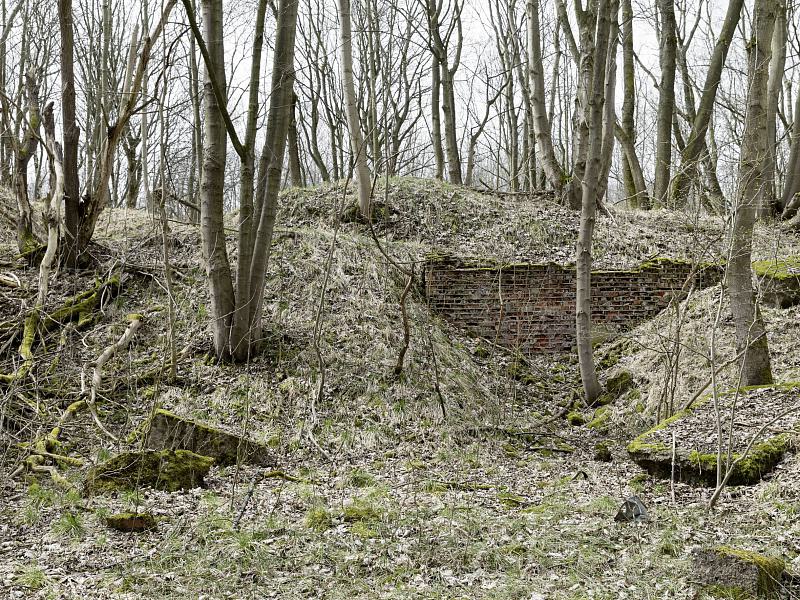 Buchenwald
