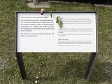 Buchenwald