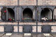 Buchenwald