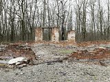 Buchenwald