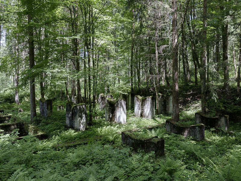 Eckerwald